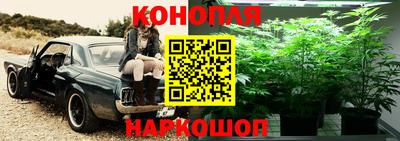СК Лесосибирск