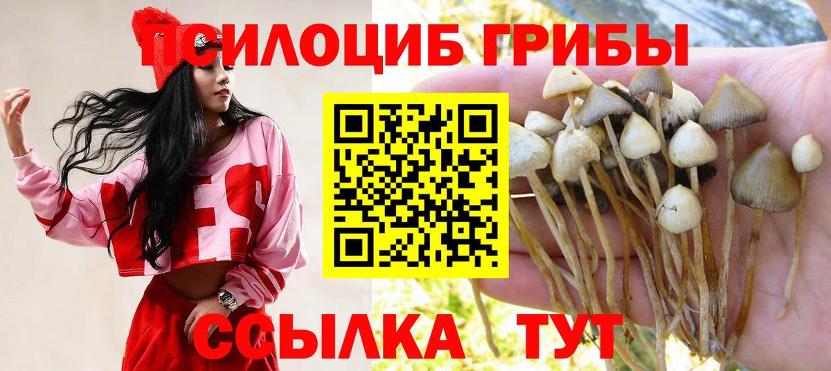 Галлюциногенные грибы Psilocybine cubensis  Вход с VPN  Чебаркуль 